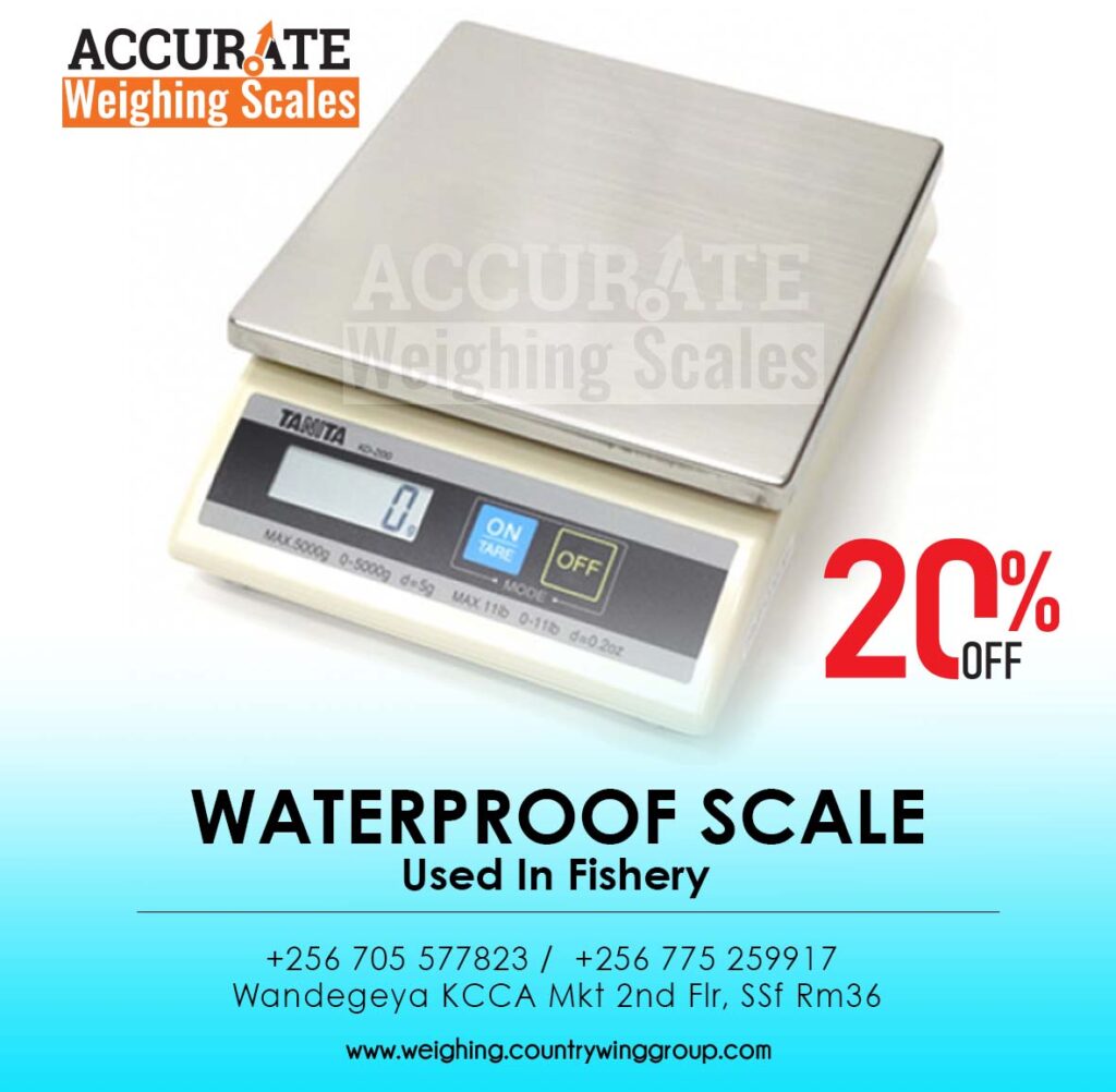 digital weight scale