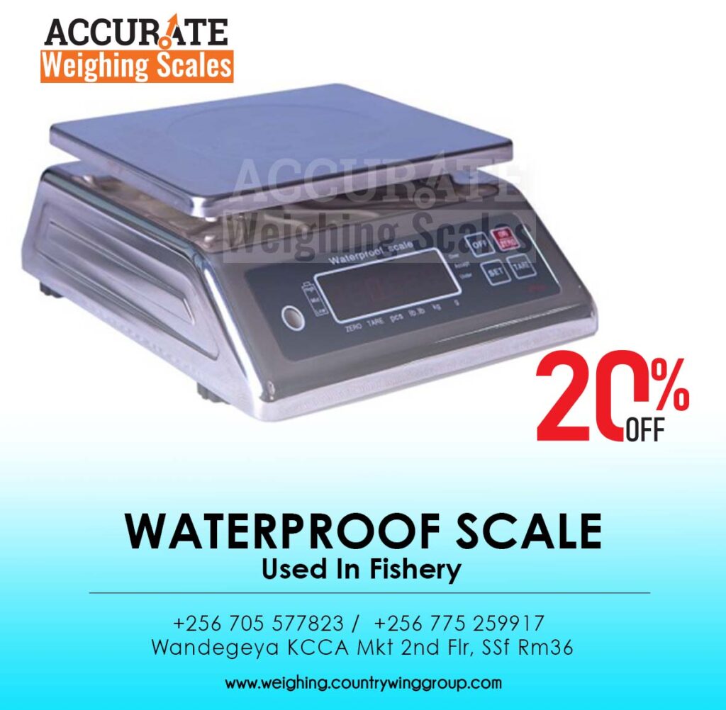 compact Waterproof Scale 