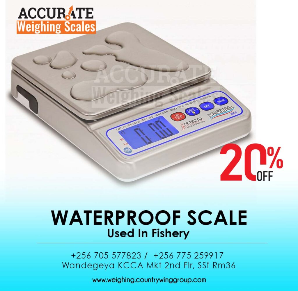 digital Waterproof Scale